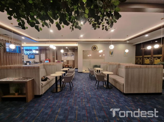VIP Service Departure with CONCORDIA Lounge